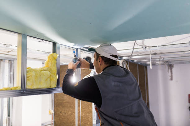 Best Energy-efficient Insulation  in Laurinburg, NC