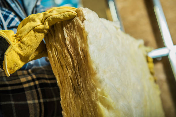 Best Insulation Replacement Services  in Laurinburg, NC