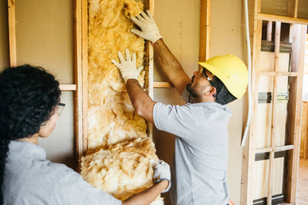 Best Local Insulation Services  in Laurinburg, NC