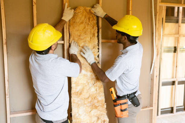 Best Insulation Contractors for Homes  in Laurinburg, NC