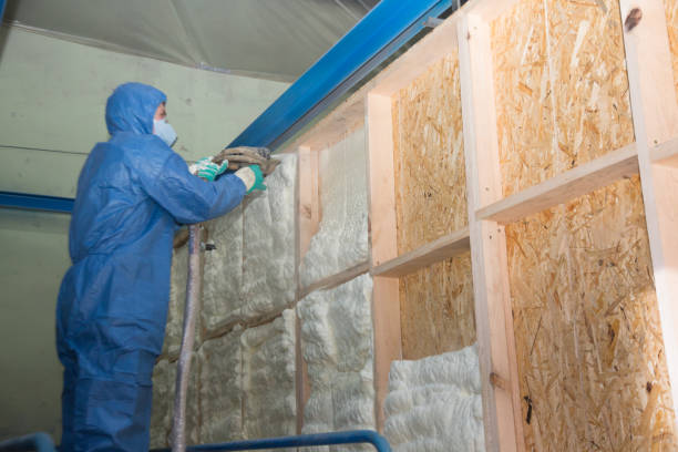 Best Wall Insulation Contractor  in Laurinburg, NC