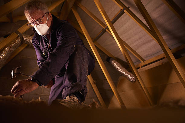 Best Fiberglass Insulation  in Laurinburg, NC